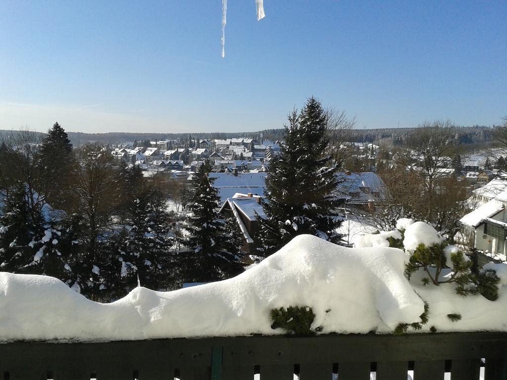 Maisonette Apartment Am Kurpark Braunlage Exterior foto